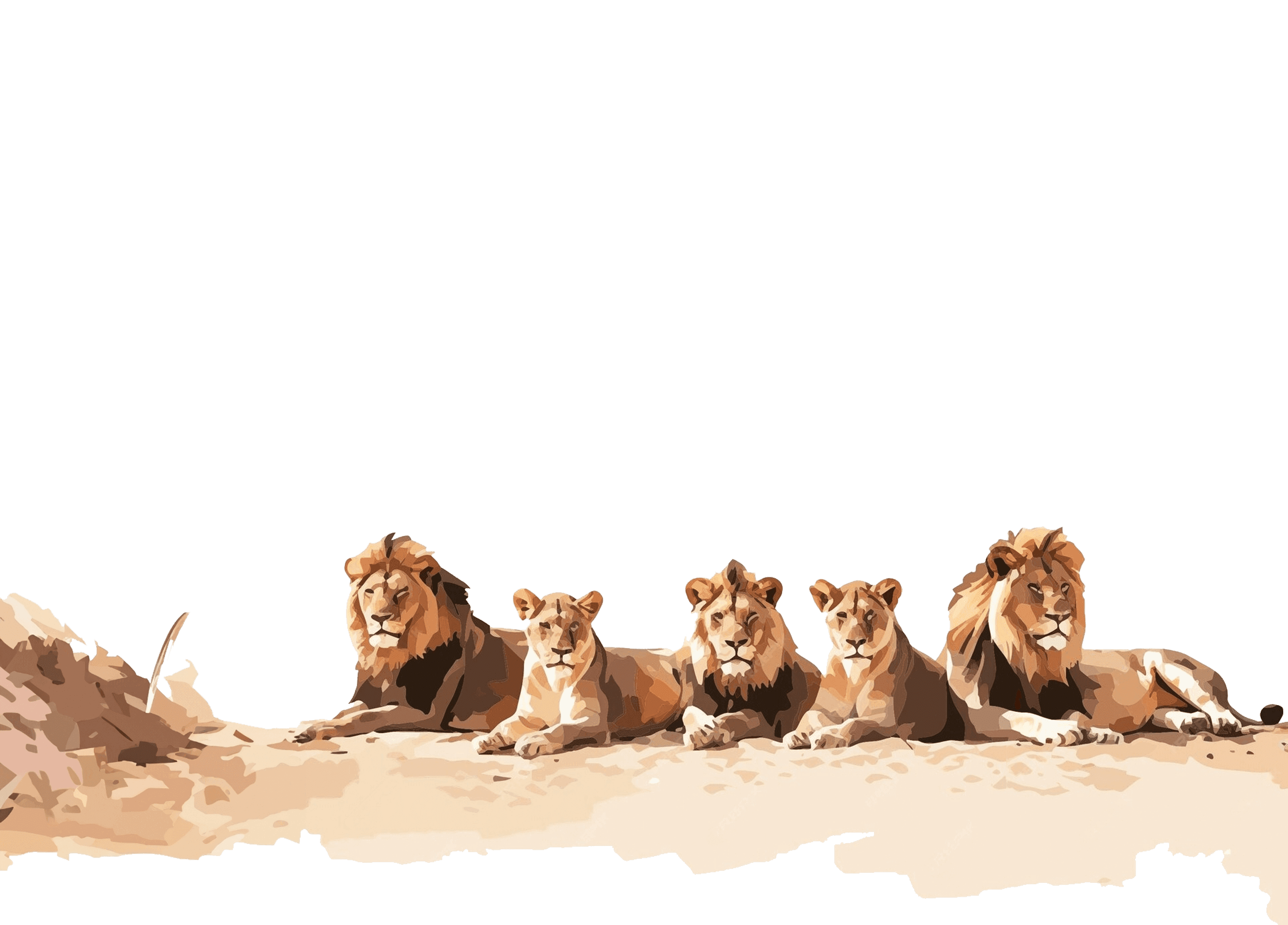 lion separator